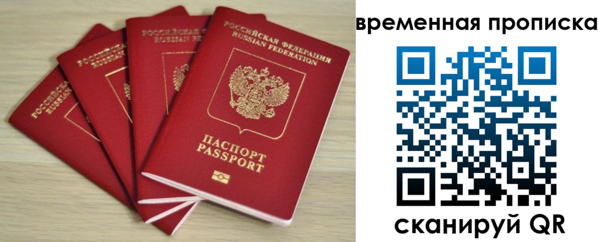 прописка для школы в Зернограде
